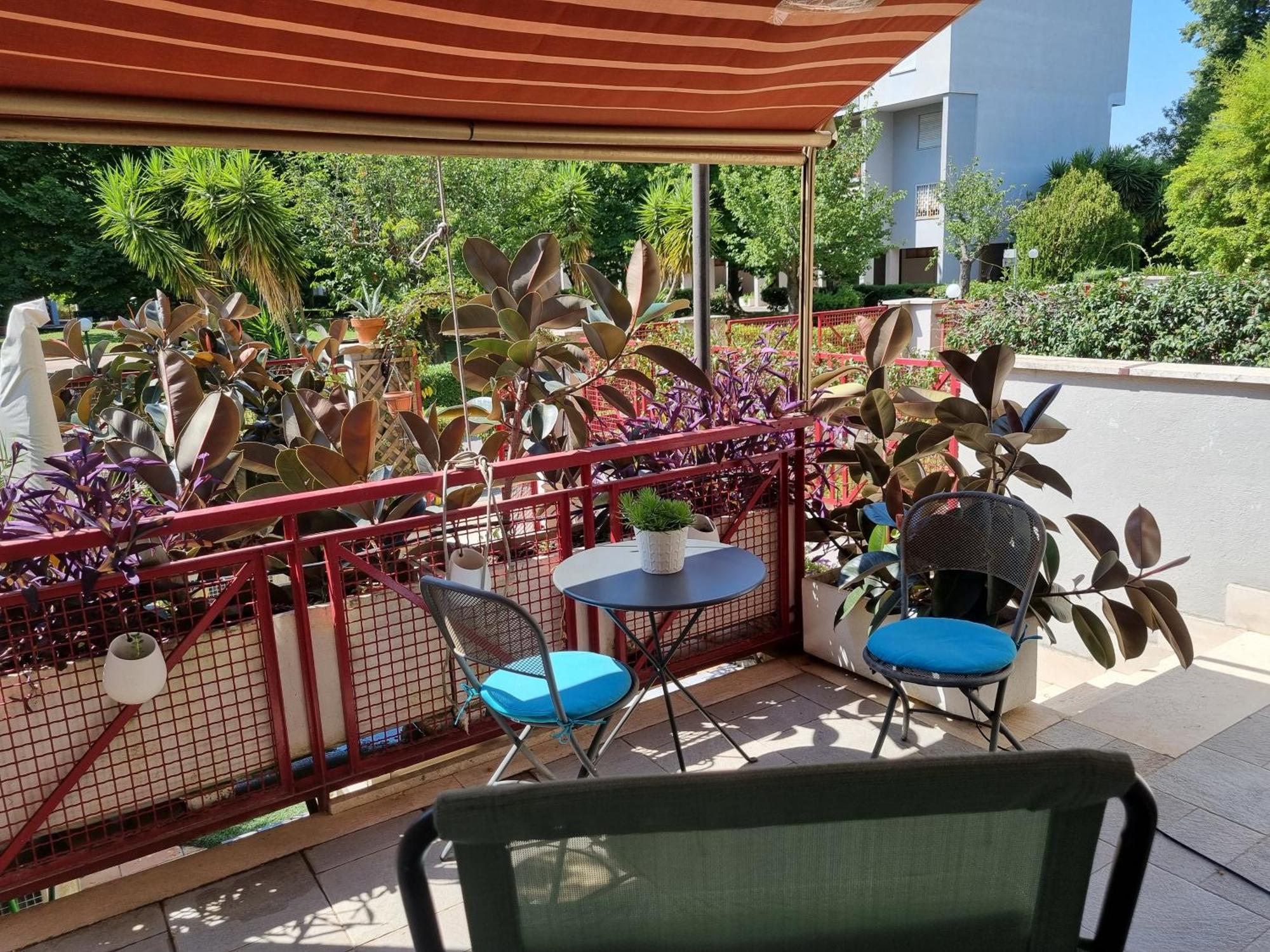 Intero Appartamento Con Giardino E Parcheggio Rom Exteriör bild